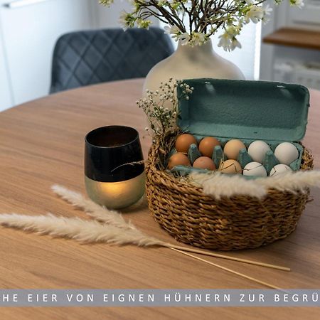 Apartment Leinetal - Bester Schlafkomfort In Hochwertiger Hotelbettwaesche, 3 Zimmer - Grosse Kueche, Duschbad & Parkplatz Northeim Kültér fotó